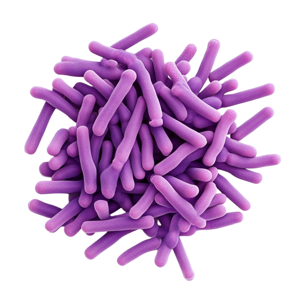 Směs 22 bakteriálních kmenů